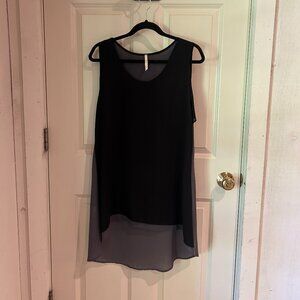 Sleeveless Sheer Tunic